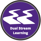 Dual Stream Learning