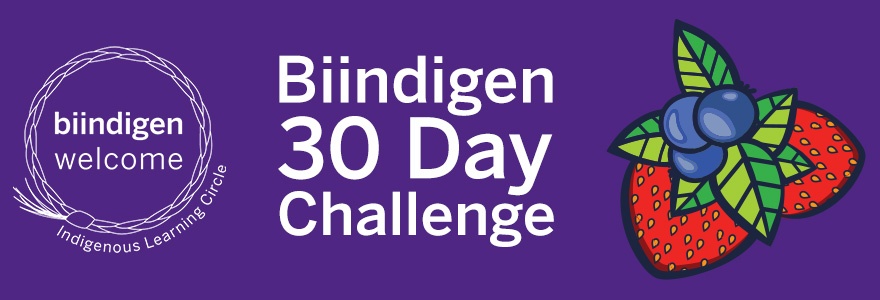 Biindigen 30 day challenge beside an illustration of three blueberries and two strawberries 